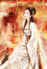 聖醫豪婿